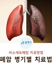 #10. 비소세포폐암 병기별 …