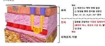 혈액 속 질병 원인 물질을 실시간 감지하는 기술 개발